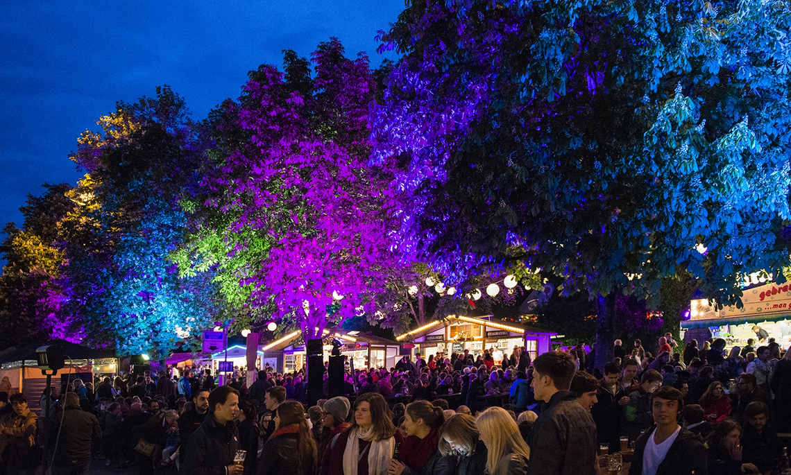 Hofgartenfest Neuburg bei Nacht