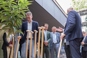 Praktische Nachhaltigkeit: Bei der Eröffnung des Modulbaus wurde eine Esskastanie gepflanzt (Foto: THI).