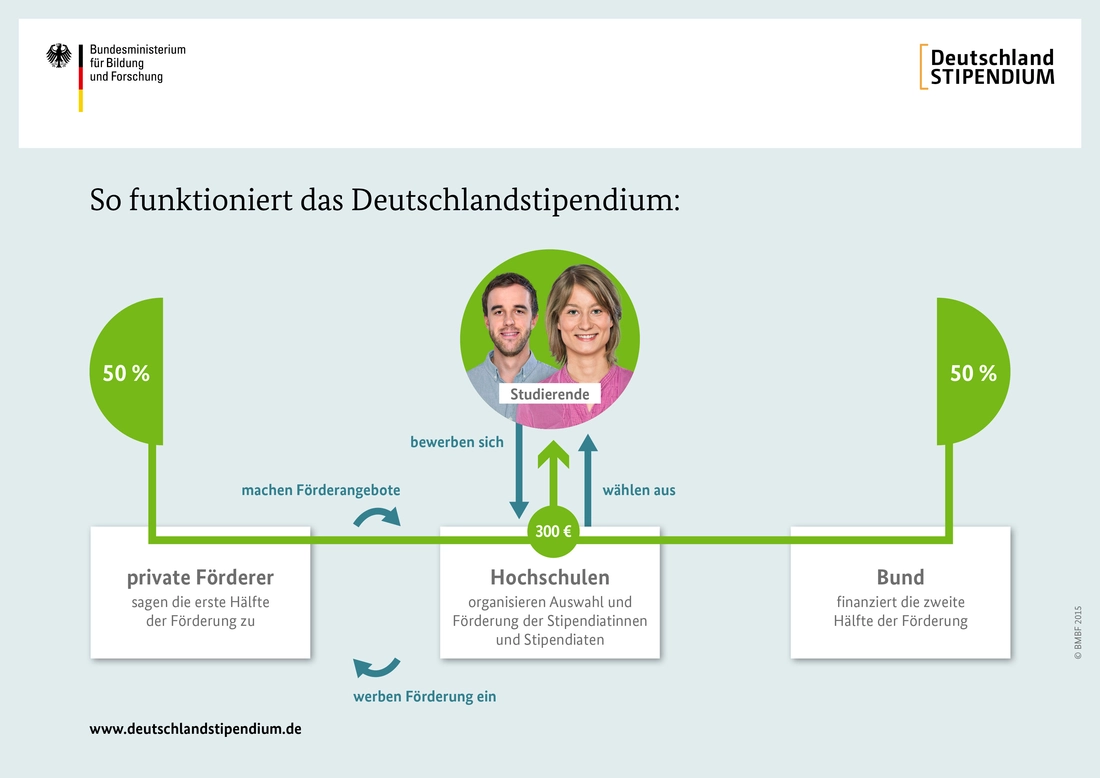 Flow chart of the talent programme